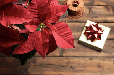 High angle view of red flowers on table