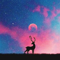 Silhouette of deer on field against sky at night
