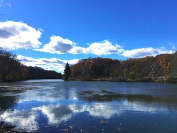 Scenic view of trees against blue sky during winter