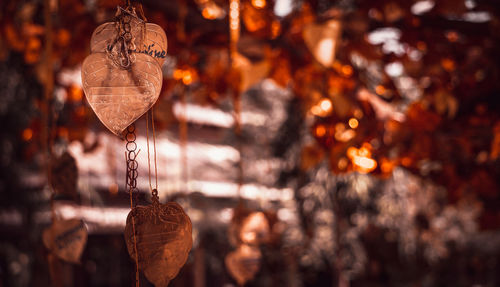 Heart shape decorations hanging at night