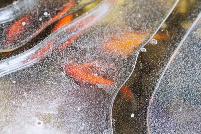 Full frame shot of wet glass