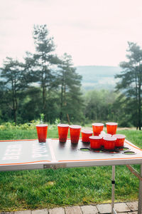 Empty chairs and table by trees on field against sky