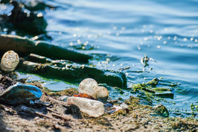Close-up of garbage on beach