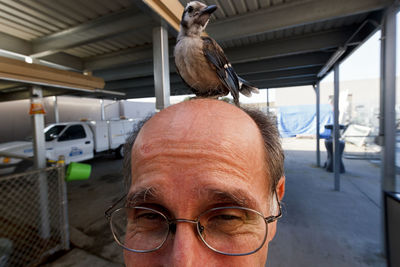 Portrait of man in bird