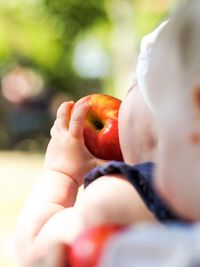 Close-up of boy holding apple