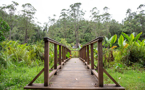 Wooden footbridge in forest