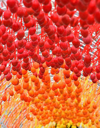 Full frame shot of red leaves