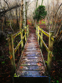 Footbridge amidst trees during autumn