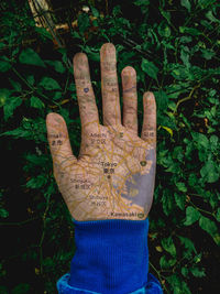 Close-up of human hand against plants