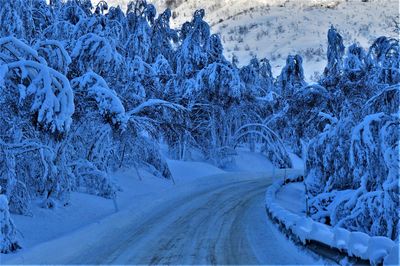 Snow covered landscape