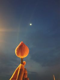 Cropped hand holding flower against sky at night