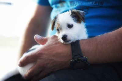 Midsection of man holding puppy