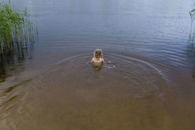 High angle view of dog in lake