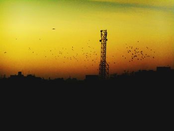 Silhouette of trees at sunset