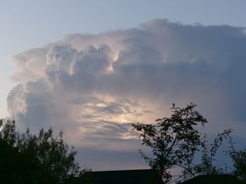 Low angle view of silhouette trees against sky