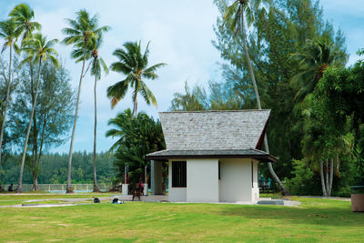 Palm trees on field against sky