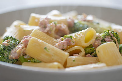 Close-up of meal served in plate