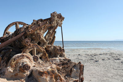 Damaged tree on beach against clear sky