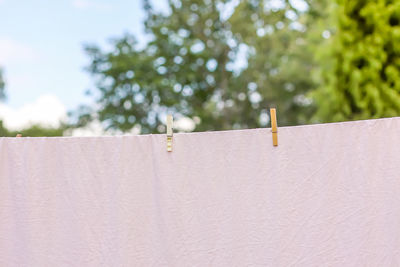 Low angle view of white hanging on clothesline against trees