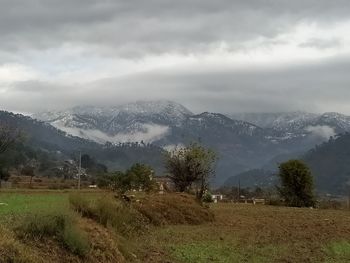 Scenic view of field against sky