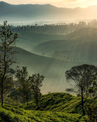 Scenic view of landscape against sky during foggy weather