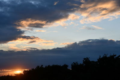 Low angle view of silhouette trees against sky during sunset