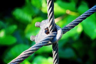 Close-up of two cables outdoors