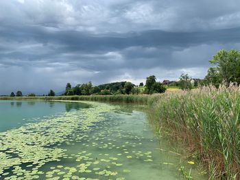 Scenic view of lake against sky