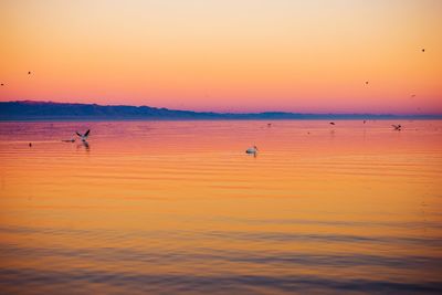 Scenic view of sea against orange sky