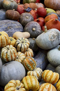 Full frame shot of fruits for sale at market stall