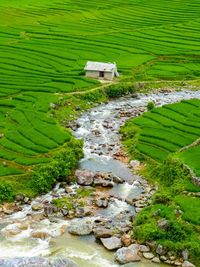 Scenic view of agricultural field