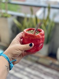 Cropped hand of woman holding mate