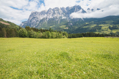 Scenic view of field against mountains