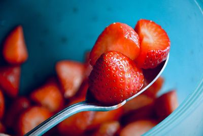 High angle view of strawberries in bowl