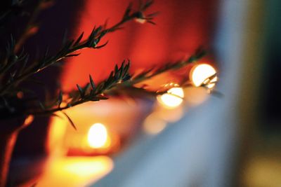 Defocused image of illuminated lights