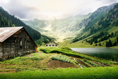 A village found during the trucking ,...