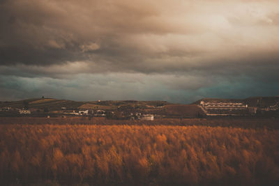 Scenic view of field against sky during sunset