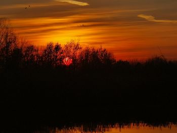 Silhouette trees against sky during sunset