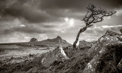 Low angle view of mountain against sky