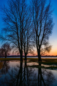 Bare trees by lake against sky during sunset