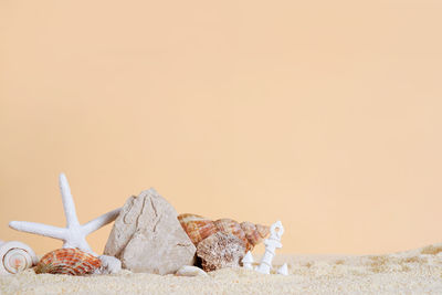 Seashells with starfish and stone on sand, beige background. 