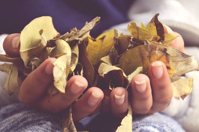 Midsection of woman holding dry leaves