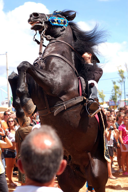 lifestyles, men, leisure activity, large group of people, horse, arts culture and entertainment, art and craft, togetherness, sculpture, sky, casual clothing, fun, performance, statue, person, art, full length, animal representation, outdoors