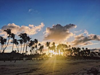 Silhouette palm trees on beach against sky during sunset