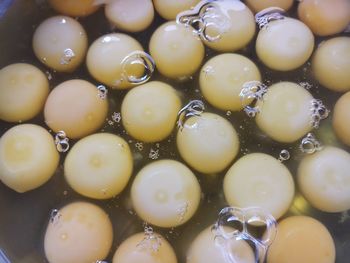 Full frame shot of eggs in water