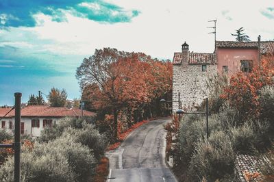 Trees and buildings against sky