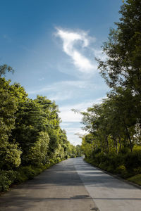 Empty road amidst trees against sky