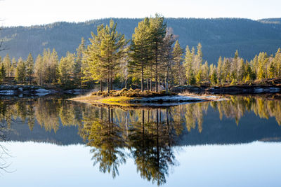 Reflection of trees in lake against sky