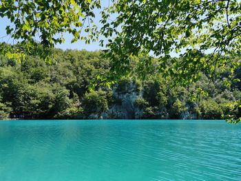 Scenic view of swimming pool by trees against sky