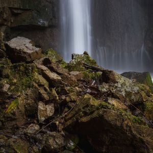 Scenic view of waterfall in forest